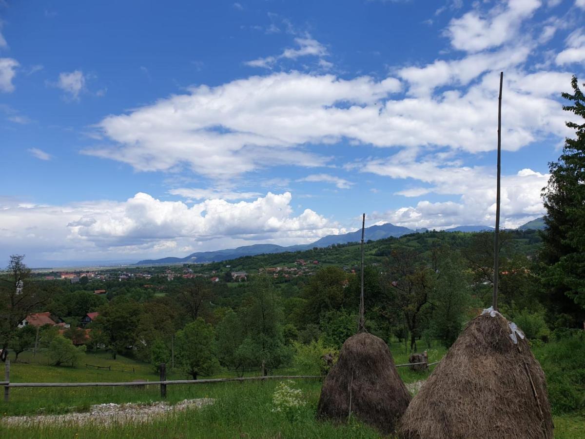 Pensiunea Padina Бран Экстерьер фото